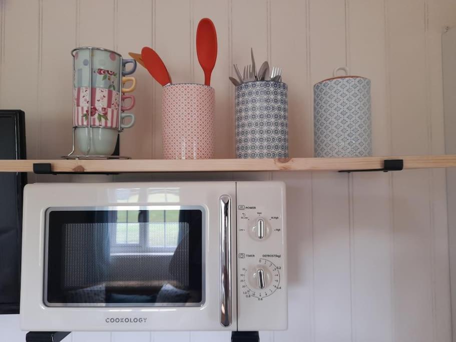 Appartement Dinky'S Den à Coverack Extérieur photo
